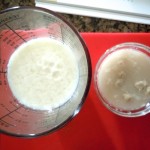 milkYeast01