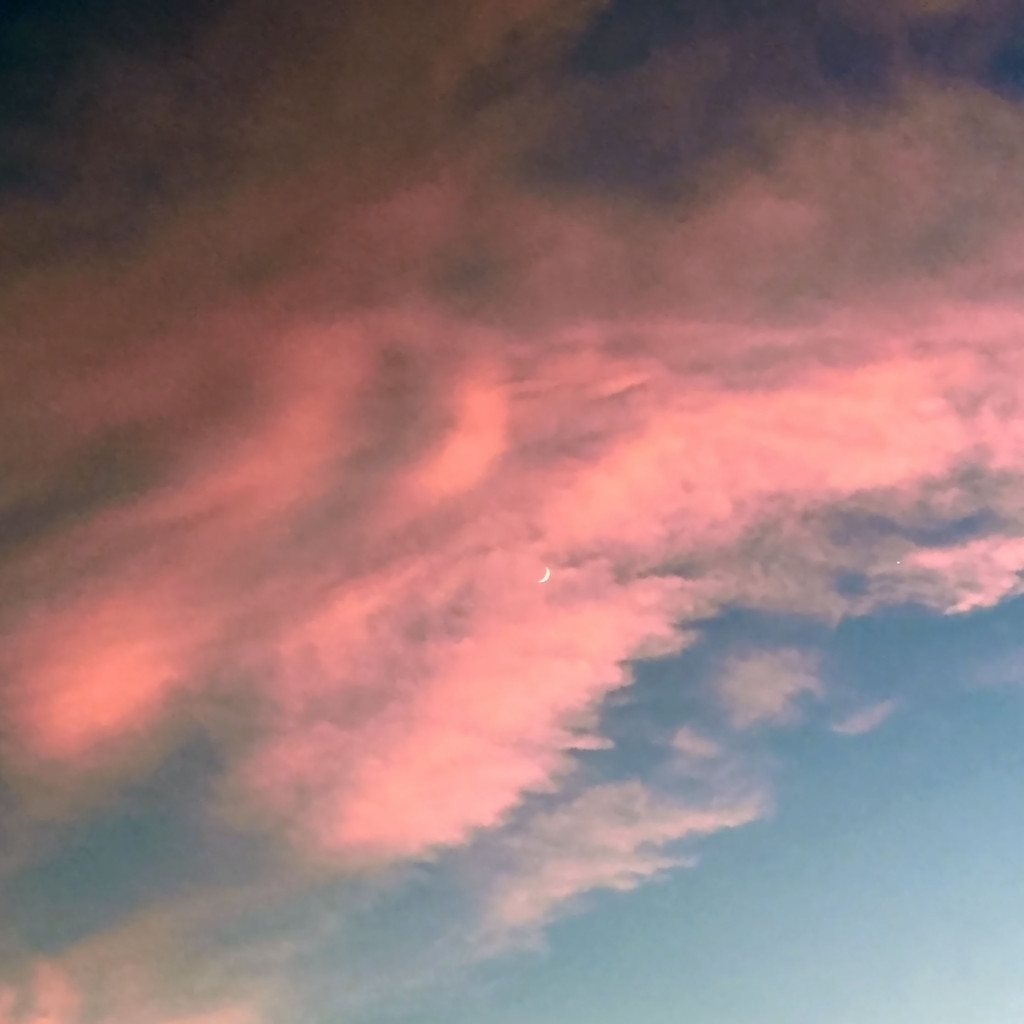 image_4x